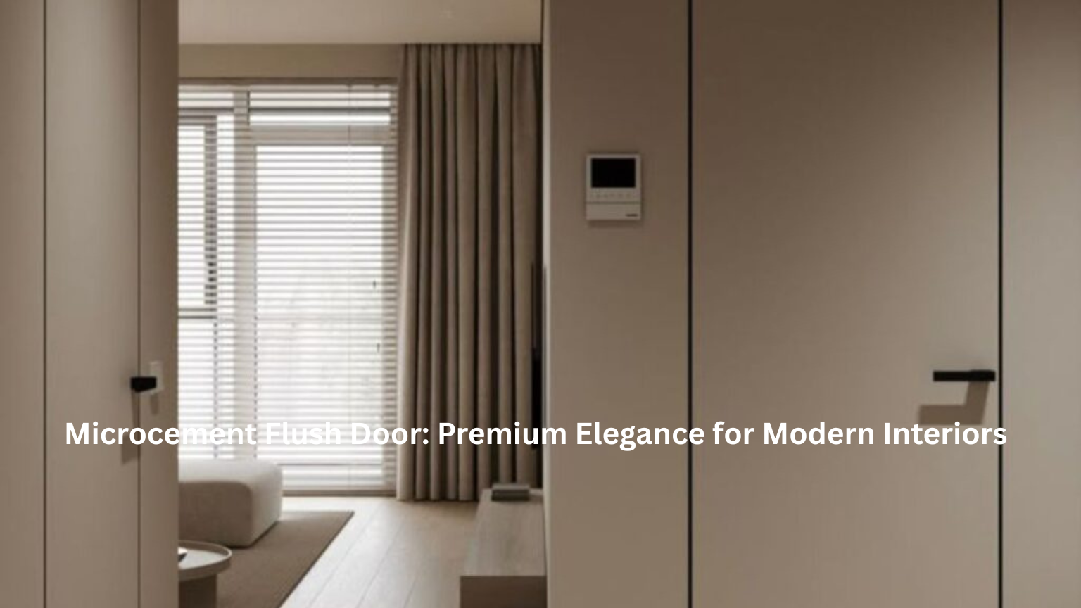 Microcement Flush Door